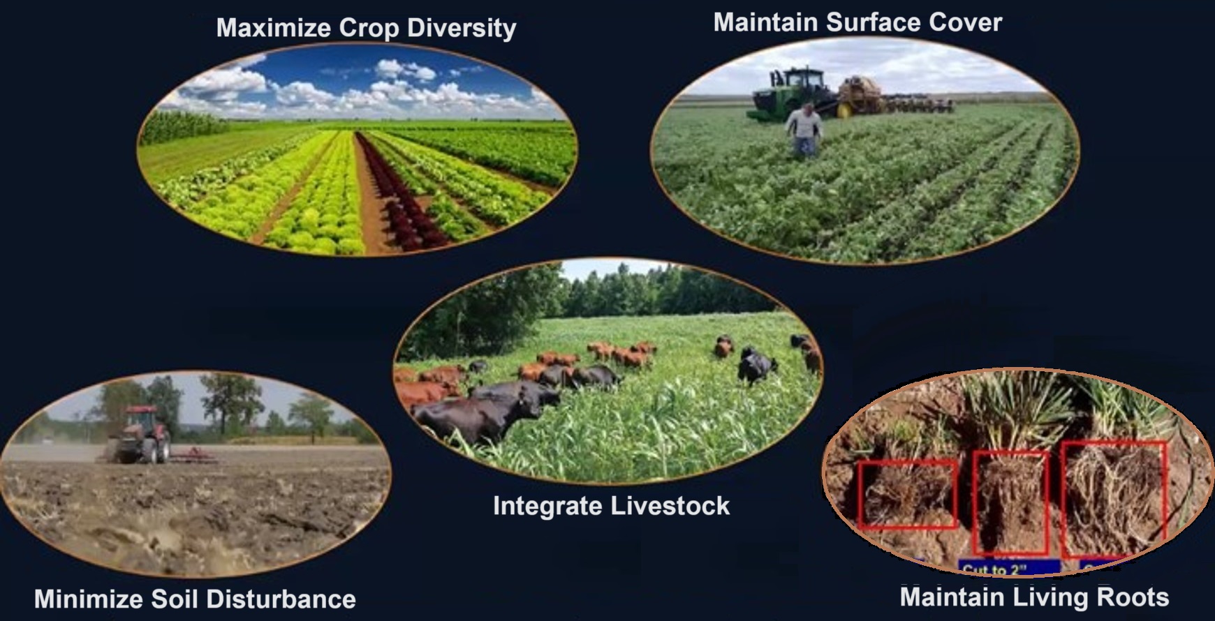 soil health principles