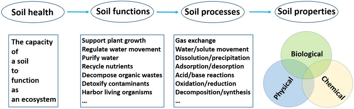 soil health expressing soil properties